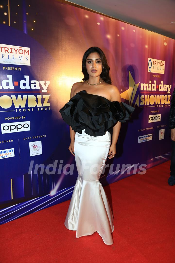 Celebrities grace the Mid Day Showbiz Awards 2024