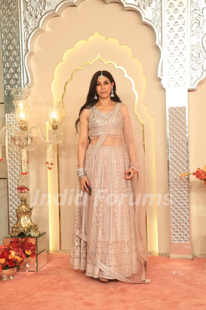 Celebrities at Anant Ambani and Radhika Merchant's Wedding Ceremony