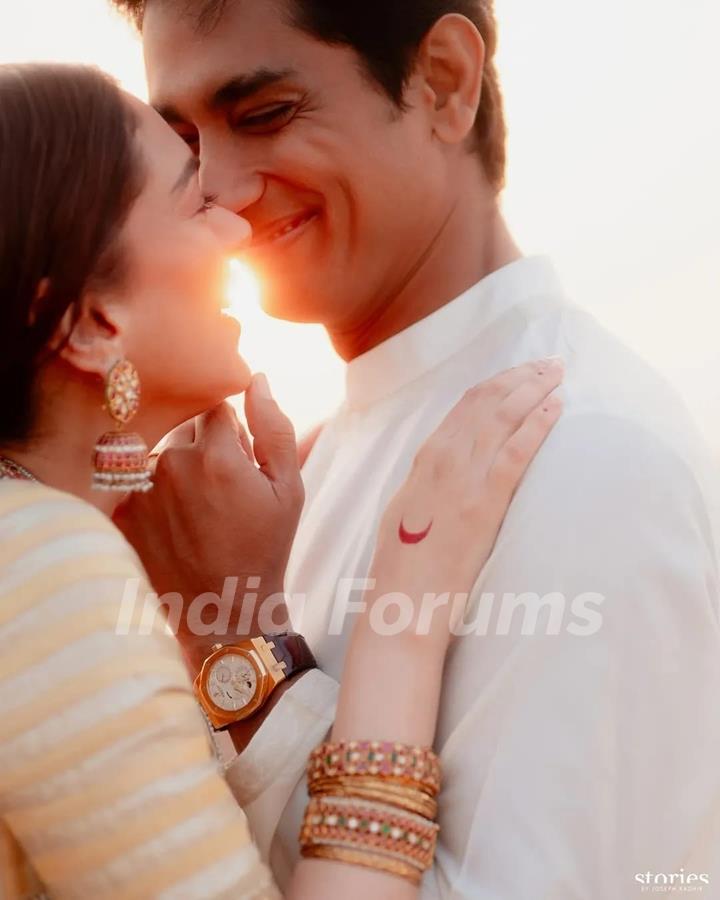 Aditi Rao Hydari and Siddharth's Wedding Pictures 