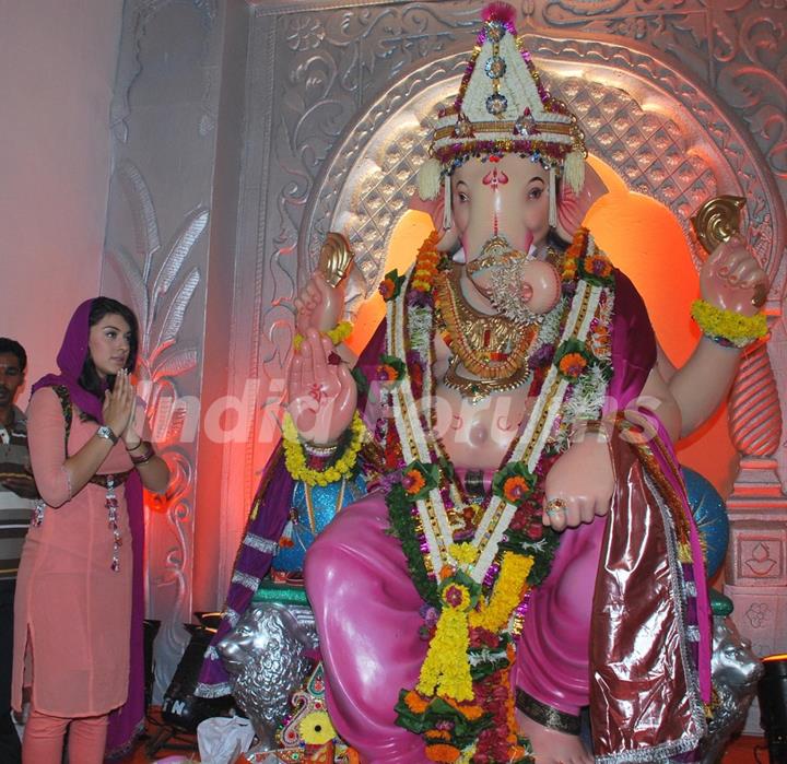 Hansika Motwani at Andheri Ka Raja Ganpati at Andheri, in Mumbai