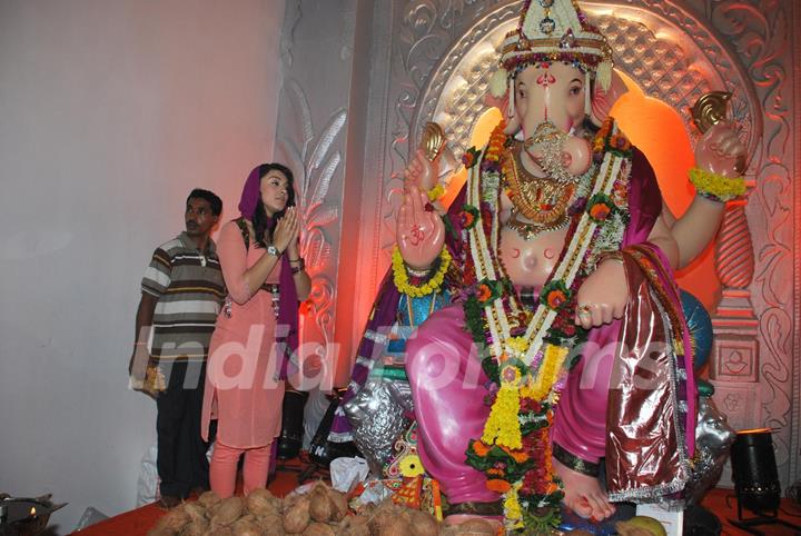 Hansika Motwani at Andheri Ka Raja Ganpati at Andheri, in Mumbai