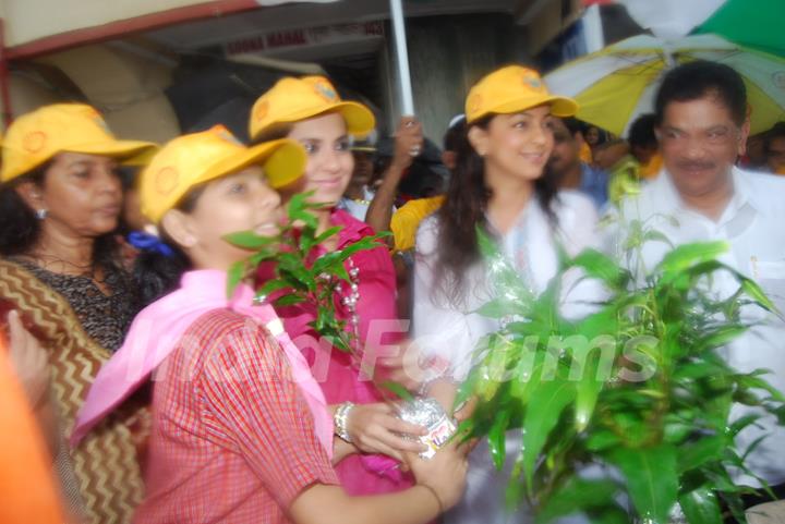 Juhi Chawla at I Love Mumbai sappling distribution at Marine Drive