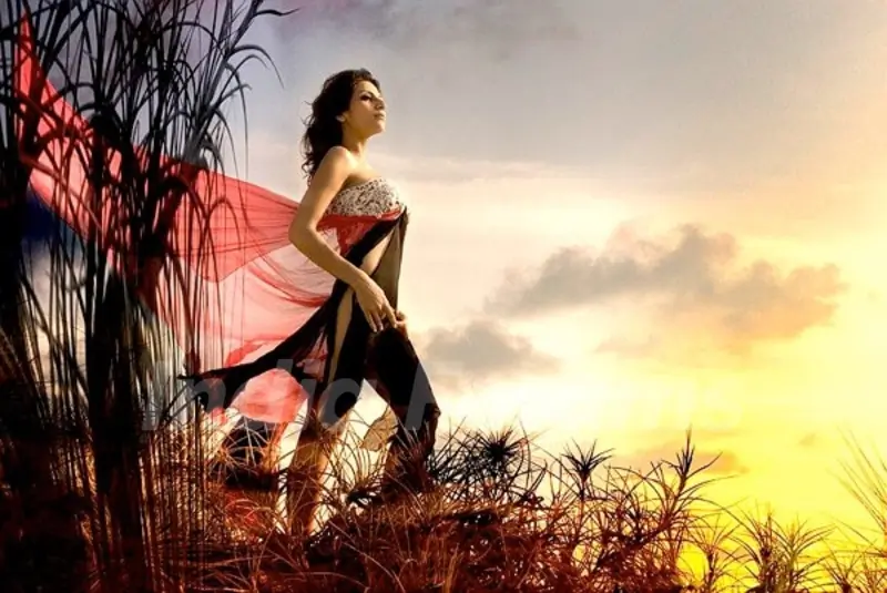 Shaurya Chauhan 2113