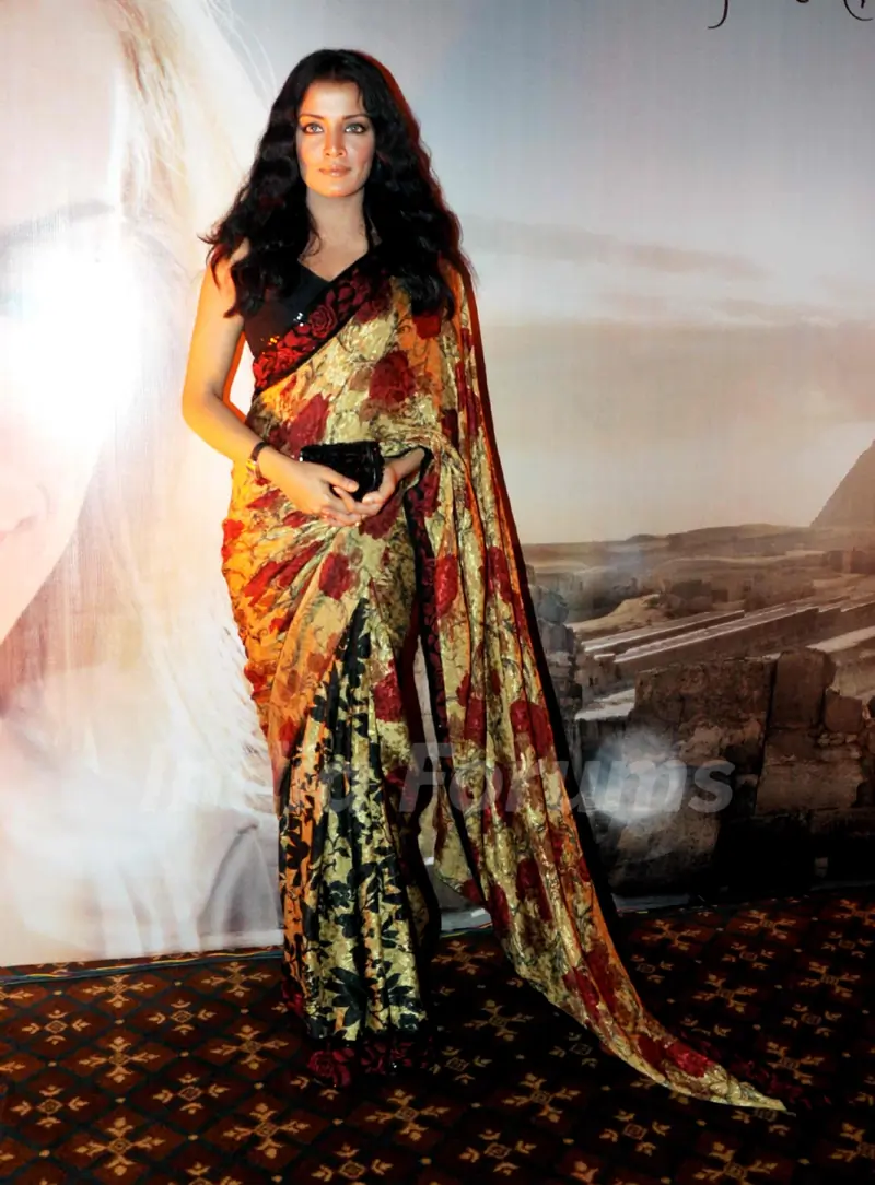 Celina Jaitly graces Egyptian Tourism Bash