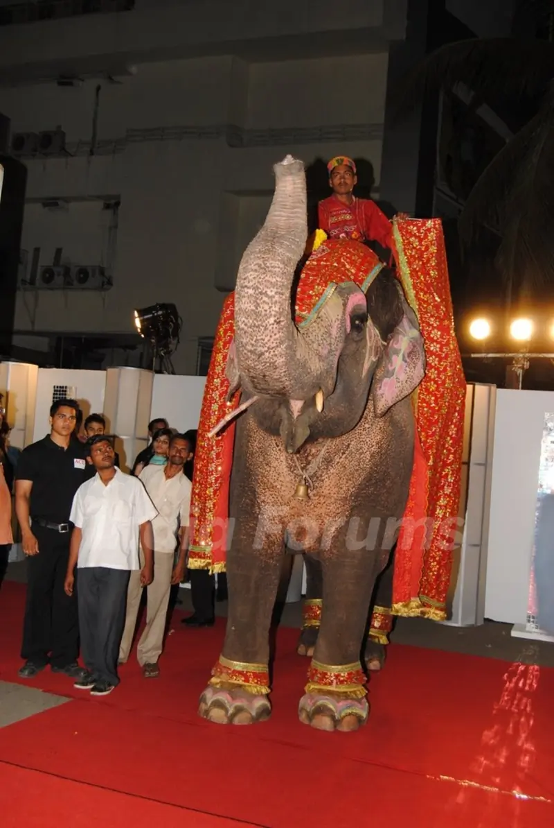 Premiere of Thank You movie at Chandan, Juhu, Mumbai