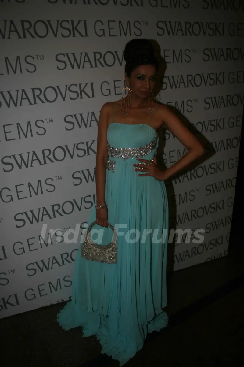 Swarovski Gems Vision 2012