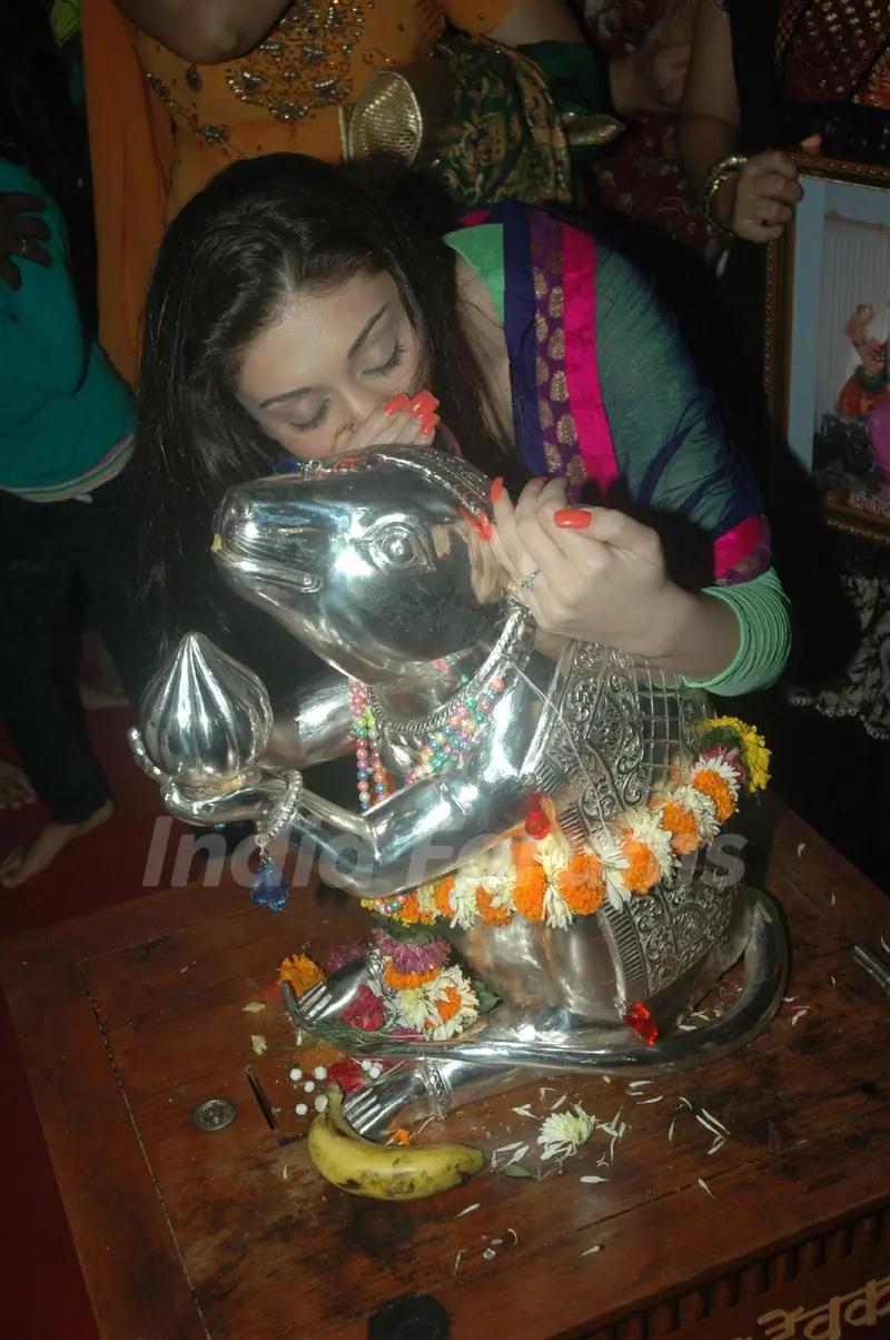 Shefali Jariwala at Andheri Ka Raja