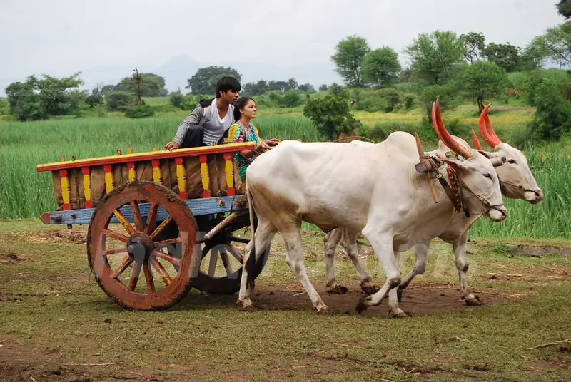 Still scene from tvshow Hawan
