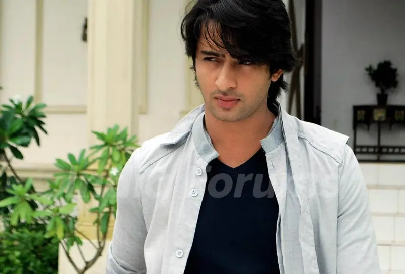 Shaheer Sheikh as Anant
