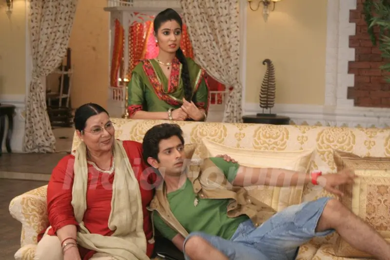 On the sets of Anamika
