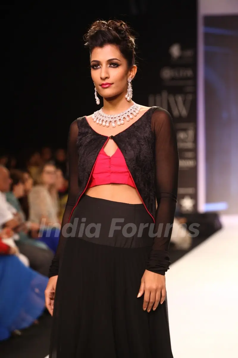 Moni Agarwal show at IIJW 2013