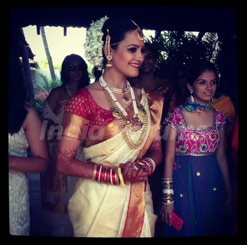 Anita Hassanandani Weds Rohit Reddy