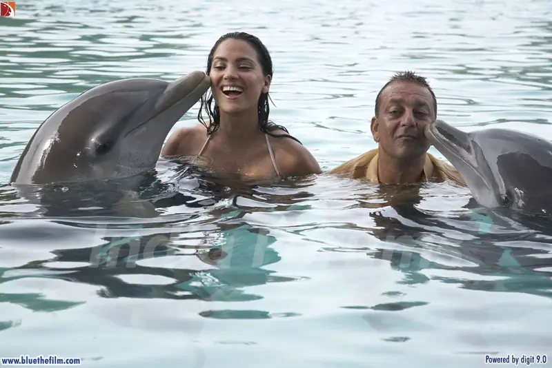 Dolphin Kissing Sanjay and Lara