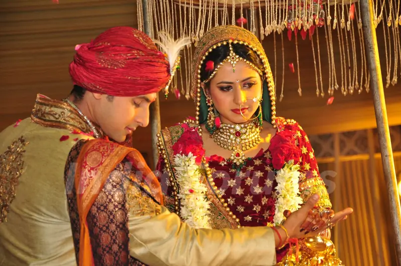 Ravi Dubey and Sargun Mehta's Wedding Ceremony