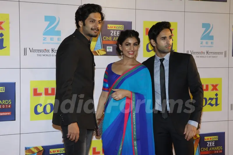 Zee Cine Awards 2014