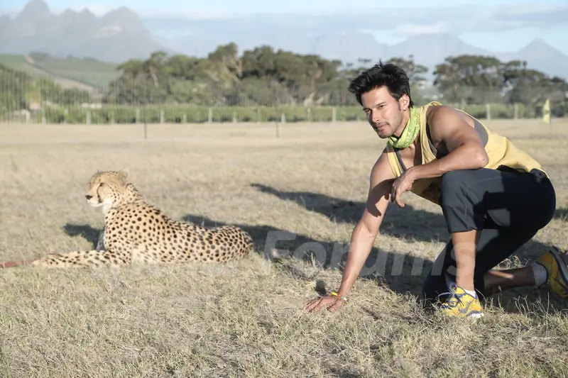 Khatron Ke Khiladi Darr ka Blockbuster