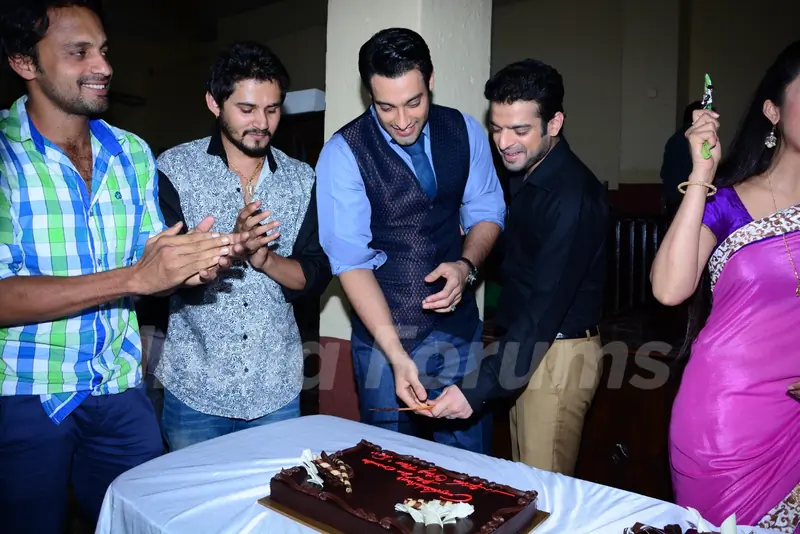 The cast cuts a cake as Ye Hai Mohabbatein completes 200 episodes