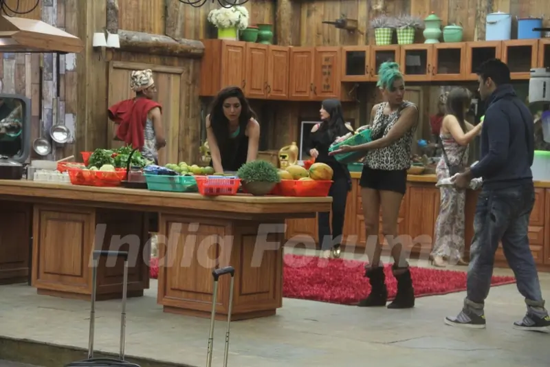 Bigg Boss 8 contestants