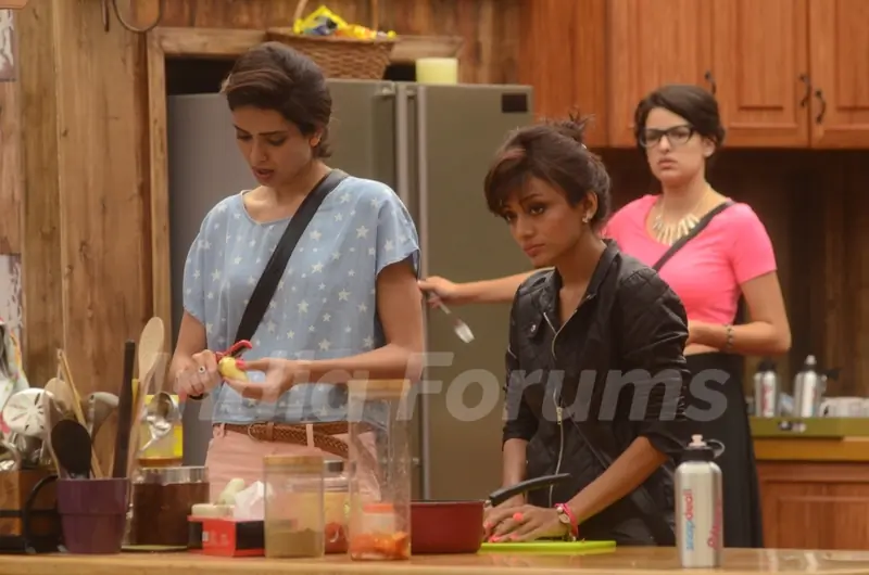 Contestants in Bigg Boss 8