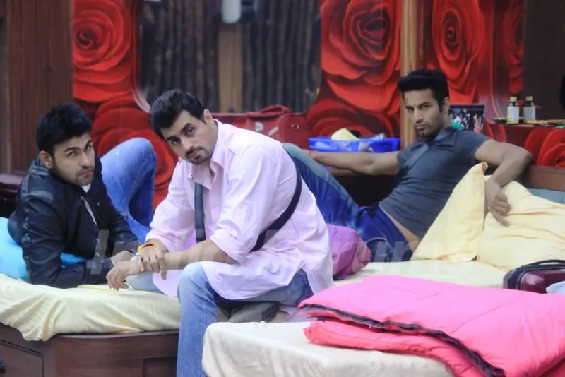 Contestants in Bigg Boss 8