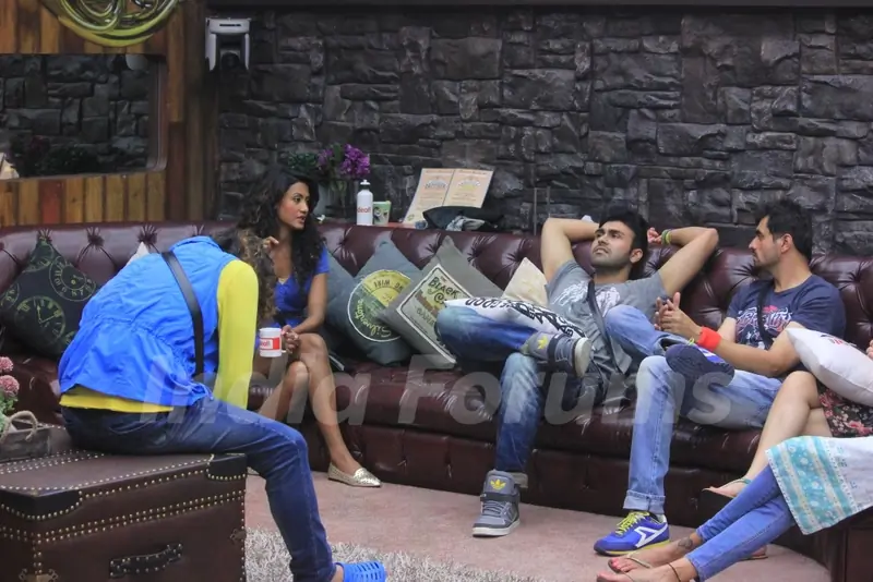 Contestants in Bigg Boss 8