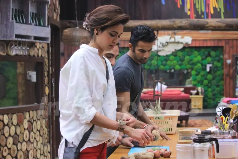 Bigg Boss 8