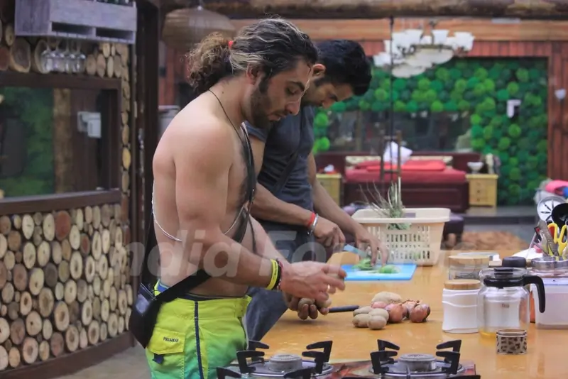 Bigg Boss 8