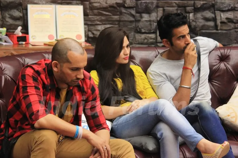 Bigg Boss 8