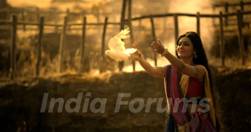 Chakravartin Ashoka Samrat