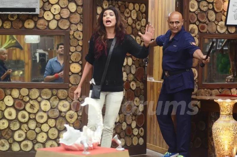 Bigg Boss 8