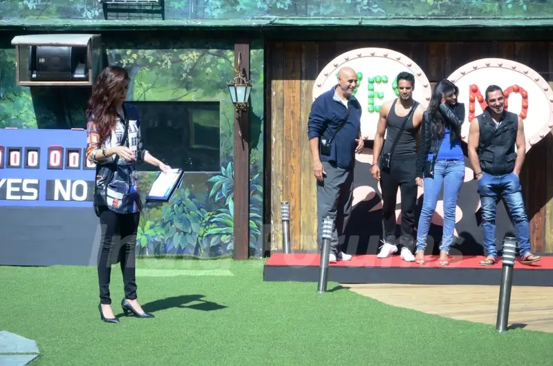 Contestants during the task Kabhi Haa Kabhi Naa on Bigg Boss 8