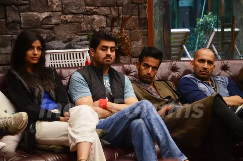 Bigg Boss 8