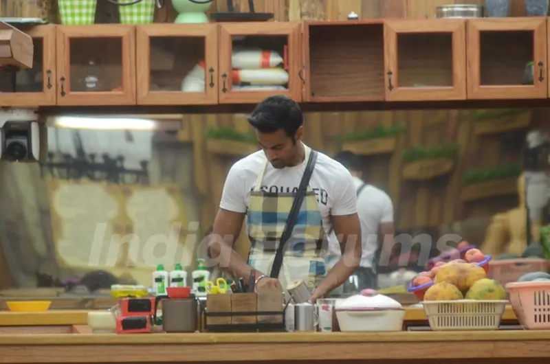 Bigg Boss 8
