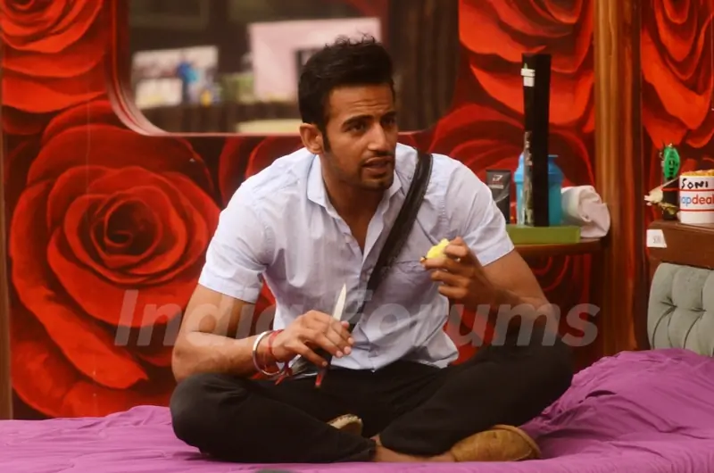 Bigg Boss 8
