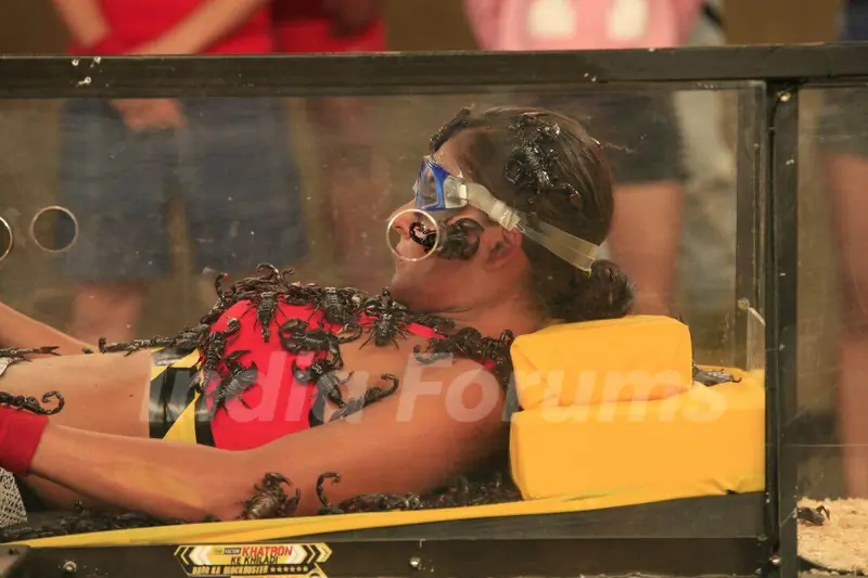 Khatron Ke Khiladi: Darr Ka Blockbuster Returns