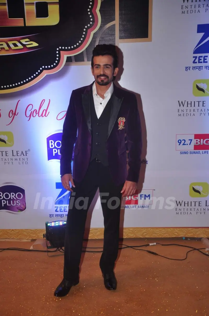 Jay Bhanushali at Gold Awards
