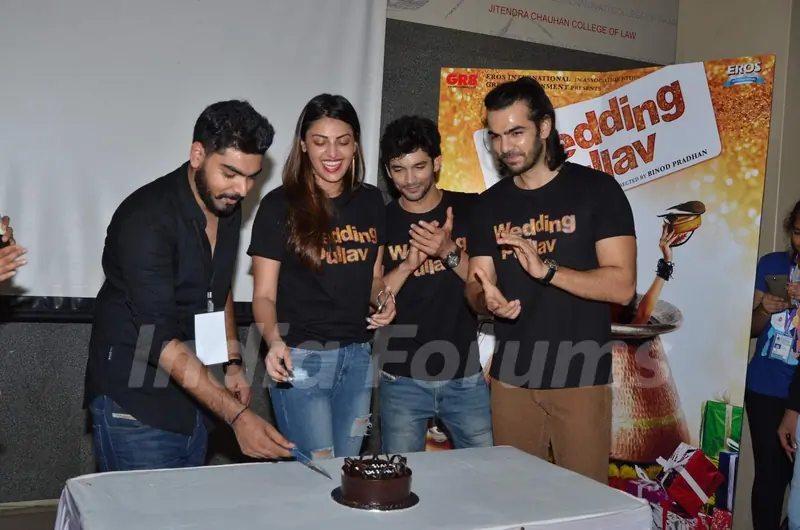 Promotions of Wedding Pullav