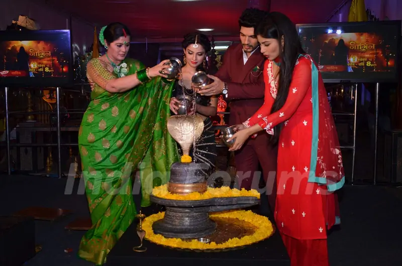 Sudha Chandran, Arjun Bijlani, Adaa Khan and Mouni Roy at Launch of Colors' New Show 'Naagin'