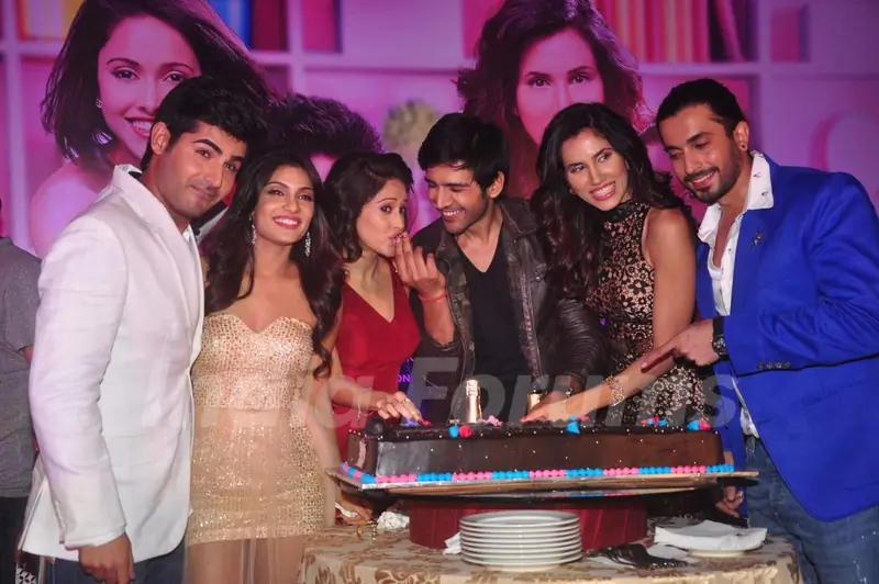Cast of Pyaar Ka Punchnama 2 at Success Bash