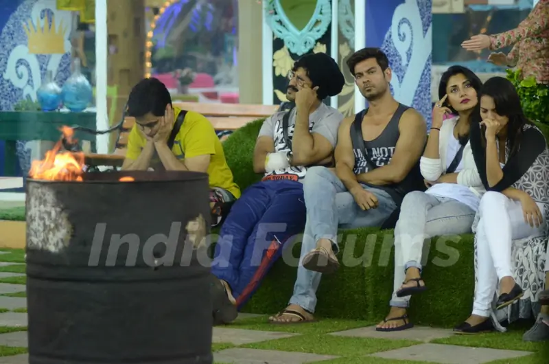 Bigg Boss Nau: Day 22- Keith Sequeira, Rimi Sen, Suyyash Rai, Aman Verma and Rochelle