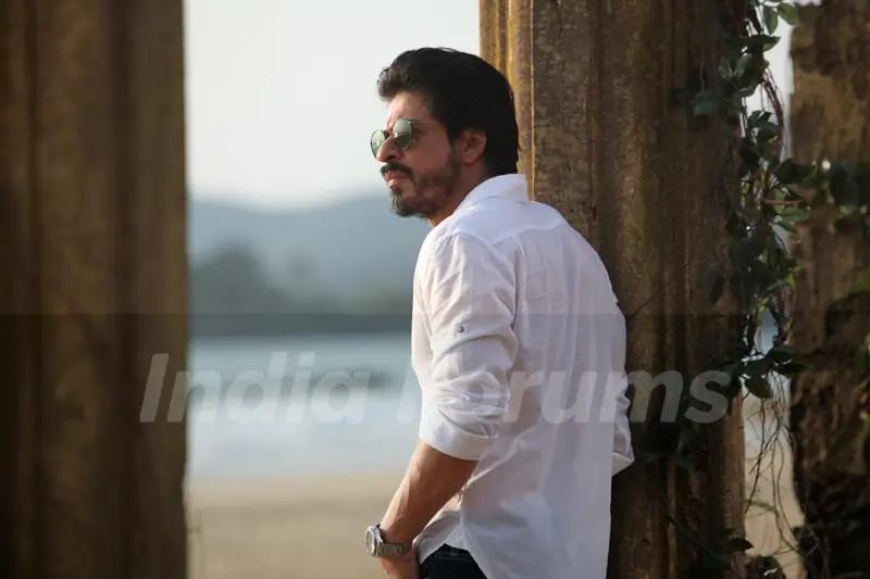 A Still of Shah Rukh Khan in Dilwale