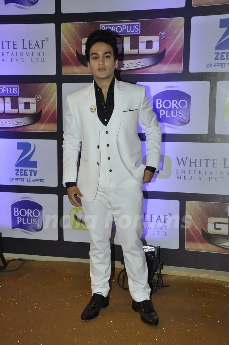 Faisal Khan at Zee Gold Awards 2016