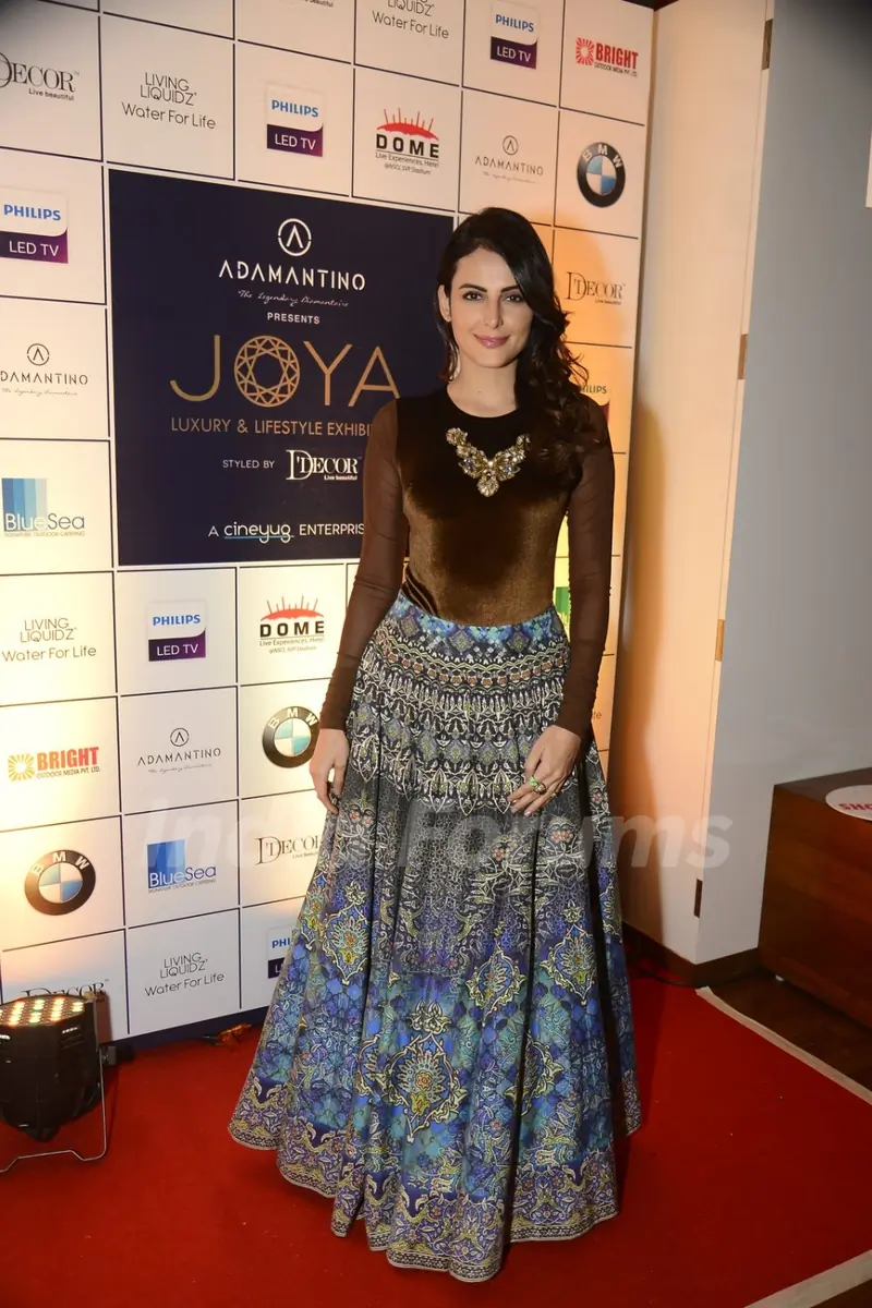 Mandana Karimi at Joya Exhibition announcement