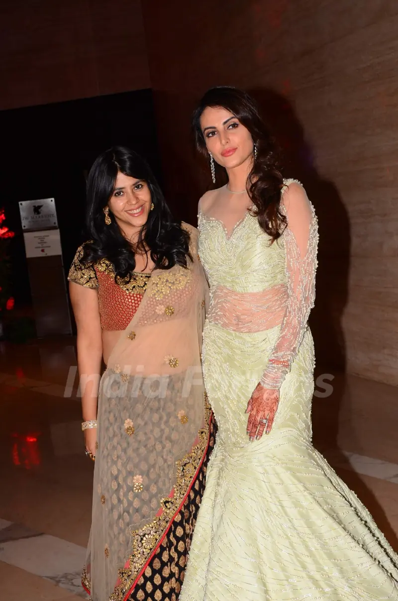 Mandana Karimi's Wedding Reception