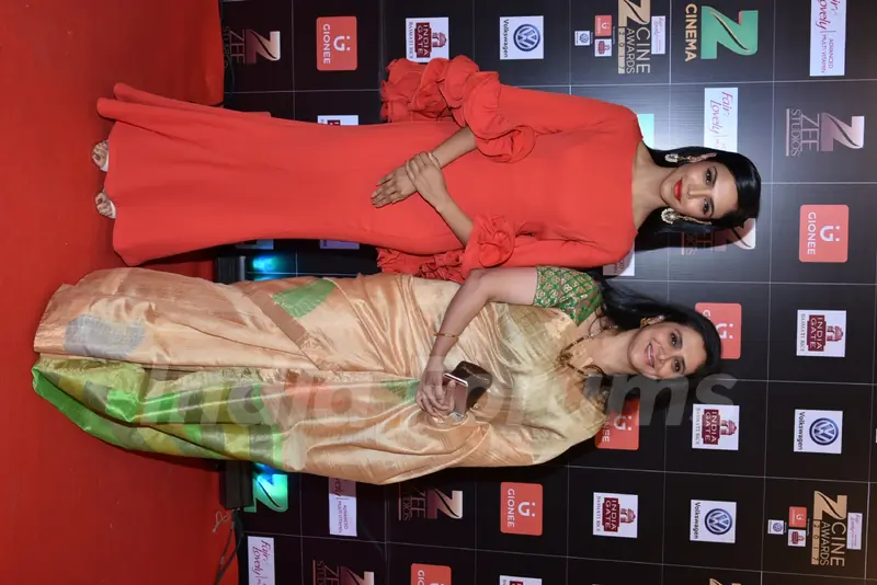 Zee Cine Awards 2017