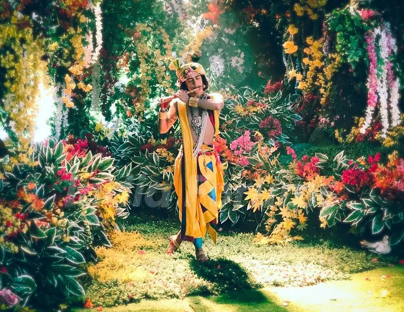 Sumedh as Krishna from RadhaKrishn
