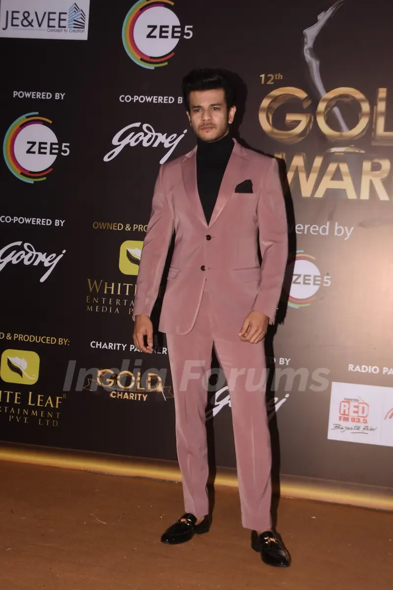 Celebrities attend the 12th Gold Award!
