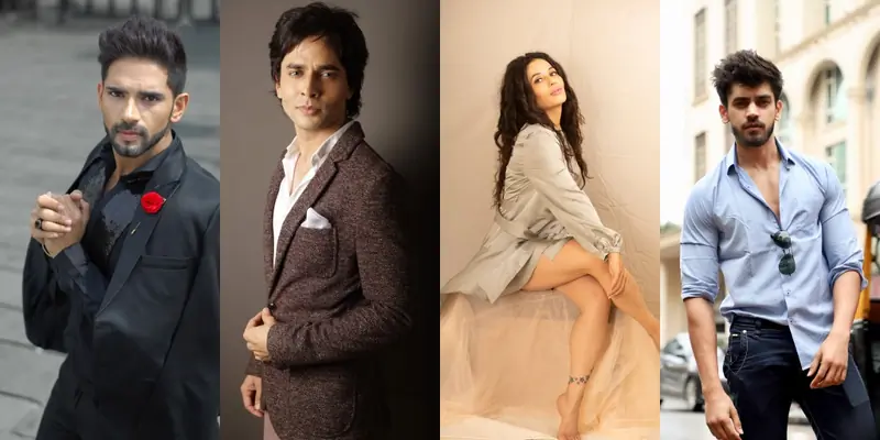 Television Celebrities