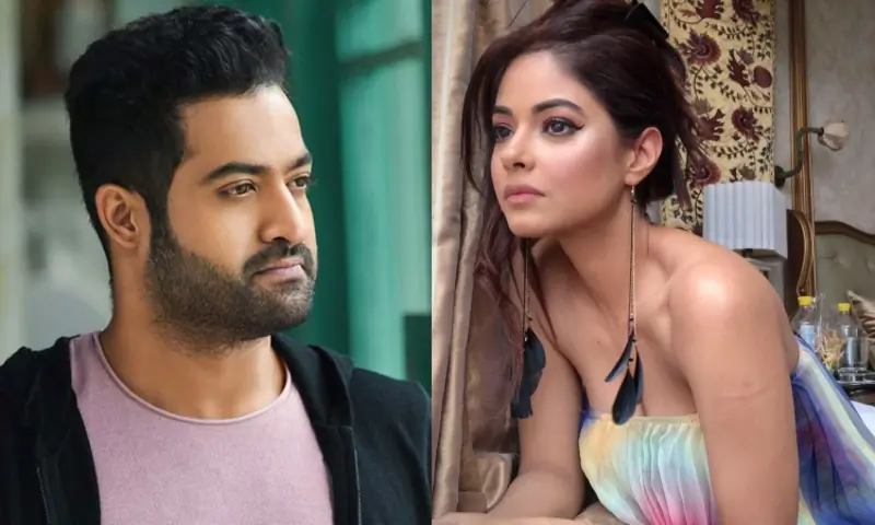Case Filed Against Jr.NTR Fans for Threatening Meera Chopra of Gang Rape and Acid Attack