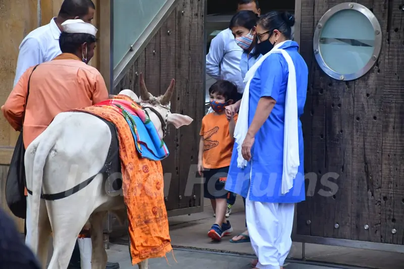 Taimur Ali Khan snapped at Bandra